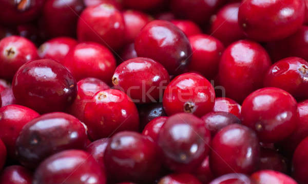 Preiselbeeren Foto hellen rot Obst Stock foto © Artlover