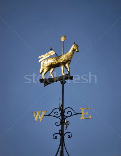 Wind vane Stock photo © Artlover