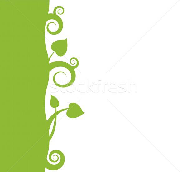 Laub grünen Ornament weiß Hintergrund schönen Stock foto © Artlover