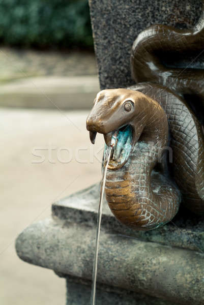 Snake spring Stock photo © Artlover