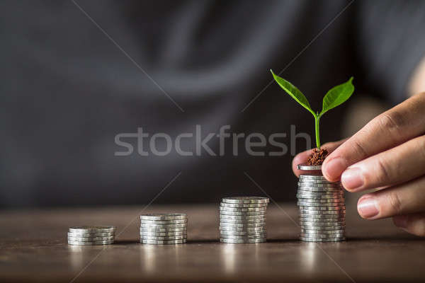 Gyűjt ezüst érmék pénz kezek üzlet Stock fotó © artrachen