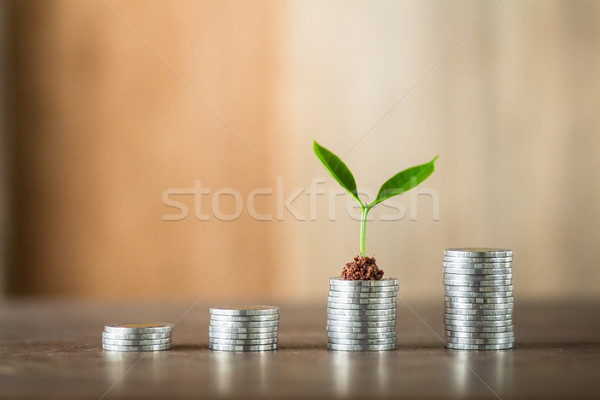 Foto stock: Quatro · dinheiro · madeira · financiar · crescimento