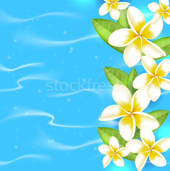 Trópusi virágok kék nyári virágok levelek víz Stock fotó © Artspace