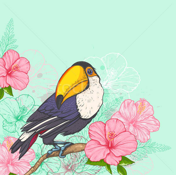 Pink tropical flowers and toucan Stock photo © Artspace