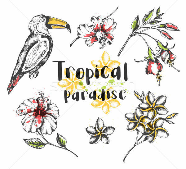 Toucan bird and tropical flowers Stock photo © Artspace