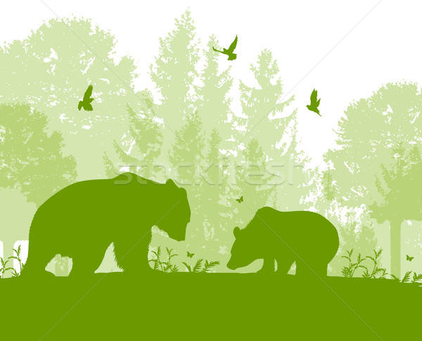 Landscape with two bears Stock photo © Artspace