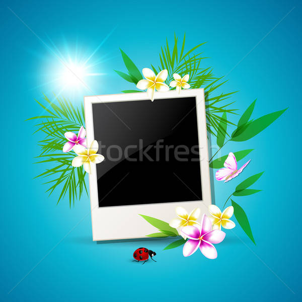 Summer vector background Stock photo © Artspace