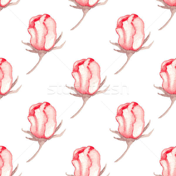 Rosas rojas dibujado a mano acuarela blanco flor Foto stock © Artspace