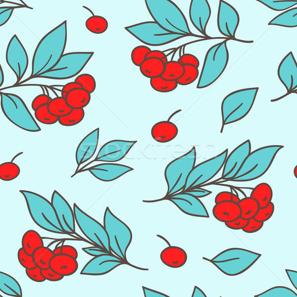 Seamless pattern with red rowanberry Stock photo © Artspace