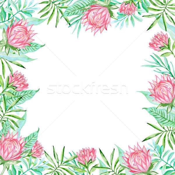 Stockfoto: Aquarel · tropische · bloemen · zomer · frame