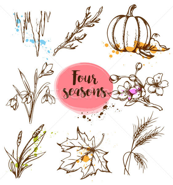 Nature design elements Stock photo © Artspace