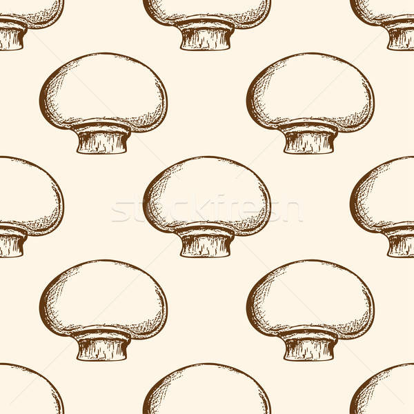 Modèle champignon champignons vintage dessinés à la main vecteur Photo stock © Artspace