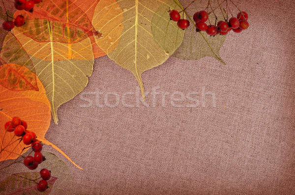 Autumn background  Stock photo © Artspace