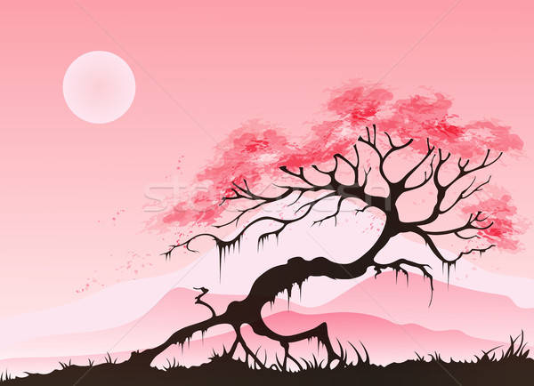 Voorjaar landschap kersenbloesem bergen roze bos Stockfoto © Artspace