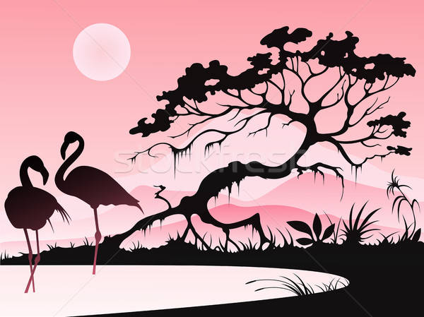 Landscape with two flamingos Stock photo © Artspace