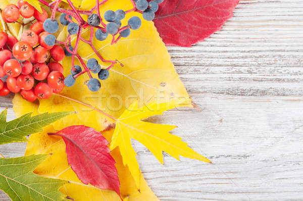Falling leaves on a wooden background Stock photo © Artspace