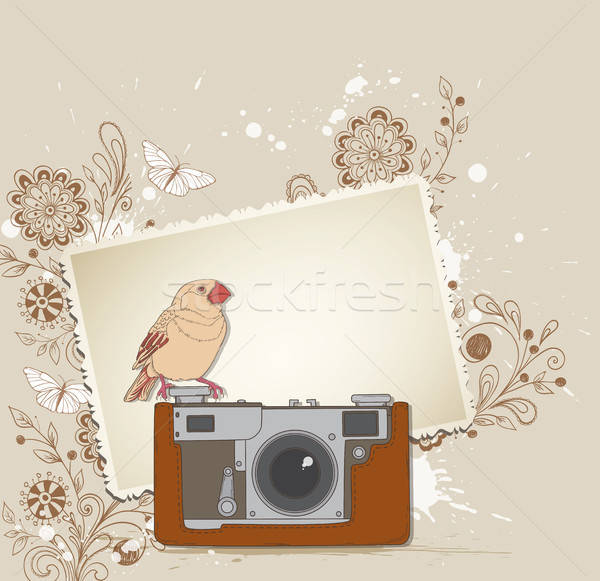 Old camera and bird Stock photo © Artspace