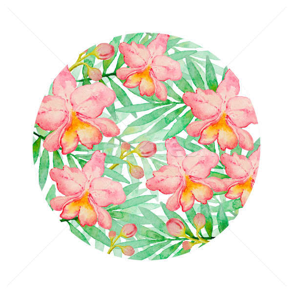 粉紅色 水彩畫 蘭花 綠色 棕櫚 商業照片 © Artspace