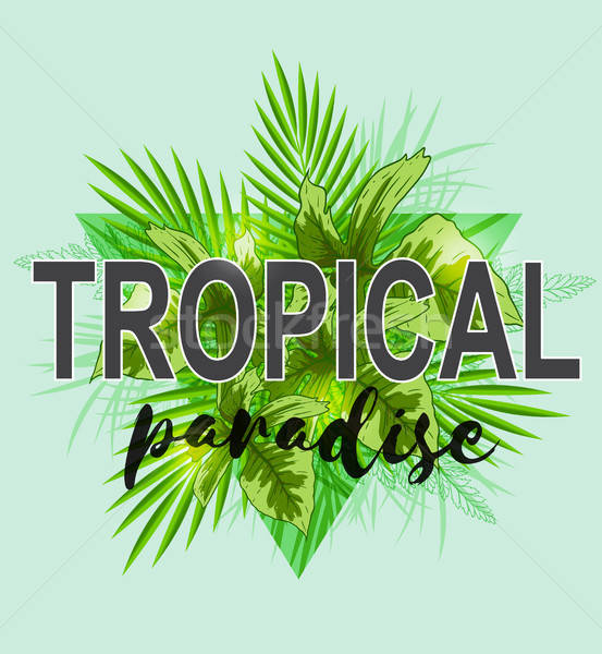 Vert feuilles de palmier résumé triangle tropicales paradis [[stock_photo]] © Artspace