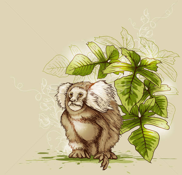 Monkey and green tropical plant Stock photo © Artspace