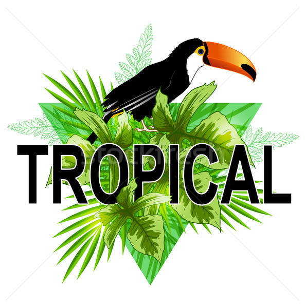 Green triangle with toucan Stock photo © Artspace