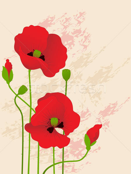 floral background with red poppies Stock photo © Artspace