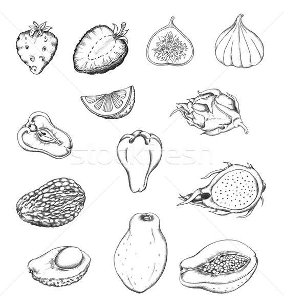 Pencil drawn fruits Stock photo © Artspace