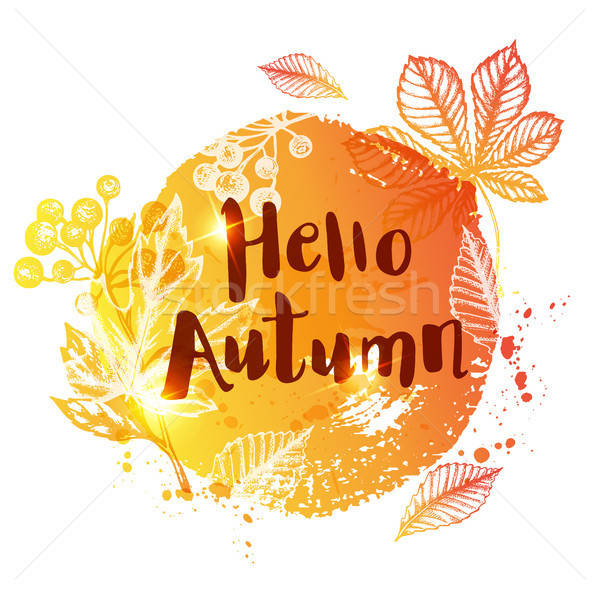 Streszczenie pomarańczowy jesienią objętych pozostawia Hello Zdjęcia stock © Artspace
