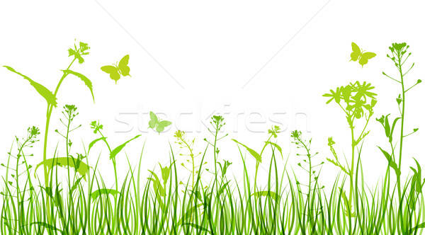 Fiori erba verde verde floreale sagome erba Foto d'archivio © Artspace