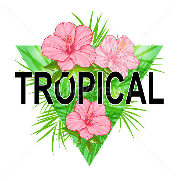 Abstract floral triangle tropical background Stock photo © Artspace
