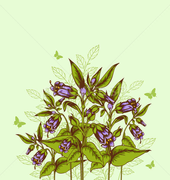 Background with bellflower Stock photo © Artspace