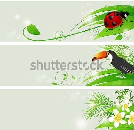 summer banner with tropical bird and palms Stock photo © Artspace