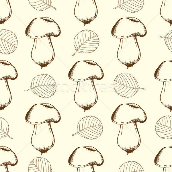 Stockfoto: Champignons · vintage · vallen · bladeren