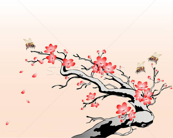 flowering cherry branch Stock photo © Artspace