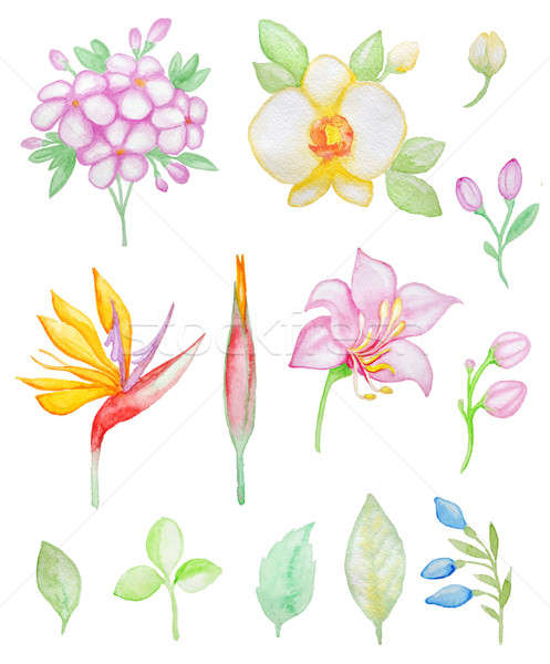 Stockfoto: Aquarel · tropische · bloemen · bladeren · ingesteld · ontwerp