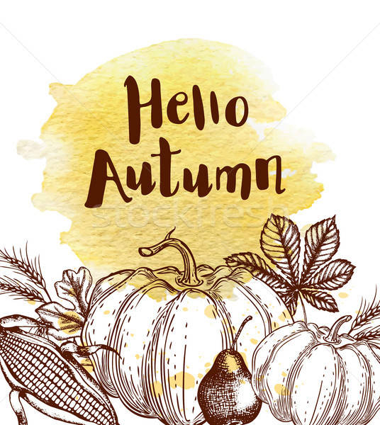 [[stock_photo]]: Vintage · automne · dessinés · à · la · main · laisse · maïs