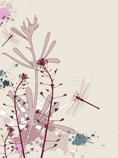 Grunge background with flowers and dragonfly Stock photo © Artspace