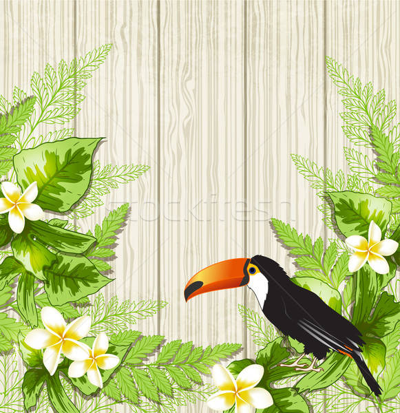 Tropical flowers and toucan Stock photo © Artspace