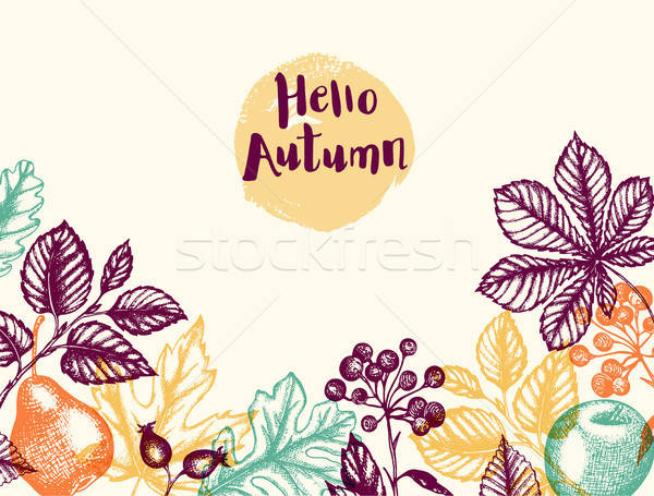 Autumn background with leaves and fruits Stock photo © Artspace