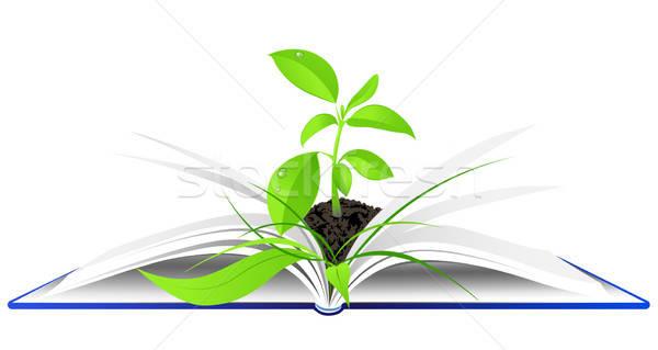 Book Clipart-one open book with plant design elements