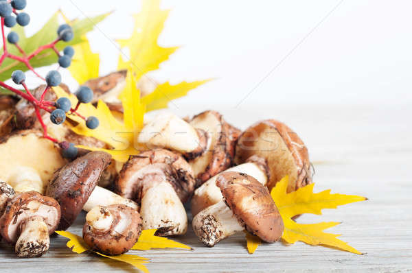 Forest mushrooms and maple leaves Stock photo © Artspace