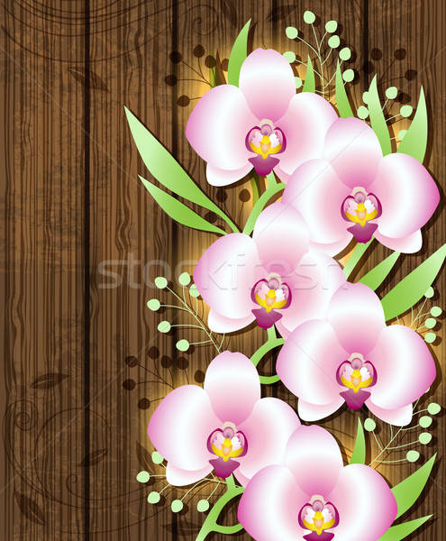 Stok fotoğraf: Ahşap · pembe · orkide · dekoratif · vektör · yaprak