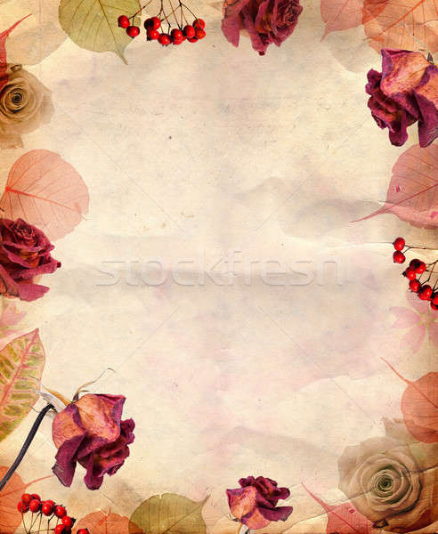 Vintage background with roses  Stock photo © Artspace