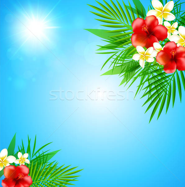 Tropical background with flowers Stock photo © Artspace