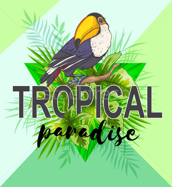 Stock photo: Palm leaves and toucan bird