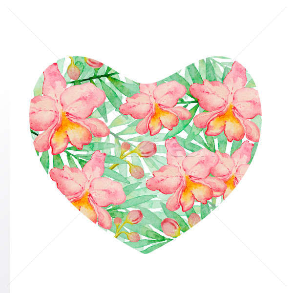Coeur couleur pour aquarelle orchidées floral rose vert Photo stock © Artspace