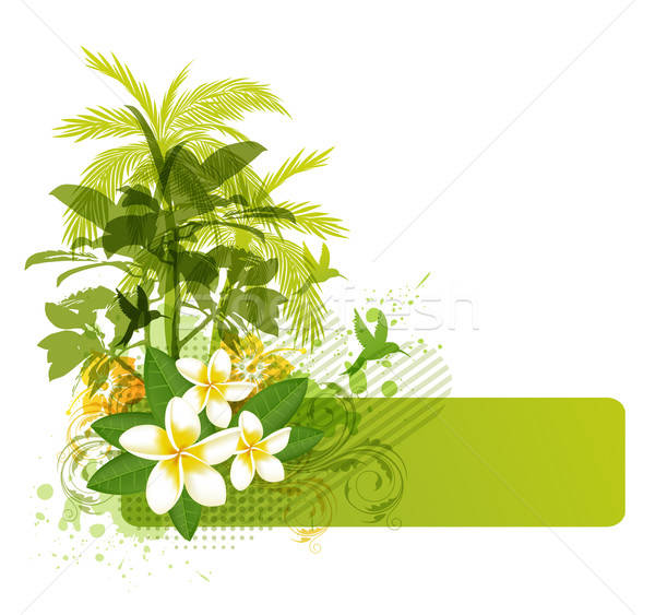 Green palms and tropical flowers Stock photo © Artspace