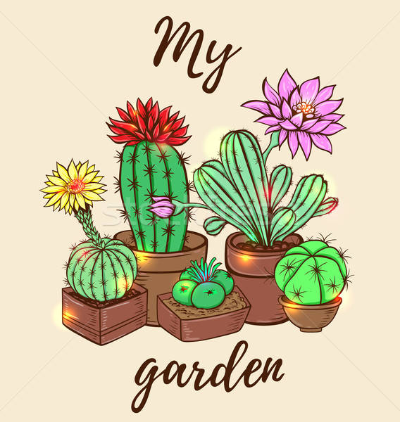 ストックフォト: 植木鉢 · サボテン · 手描き · 花 · 庭園