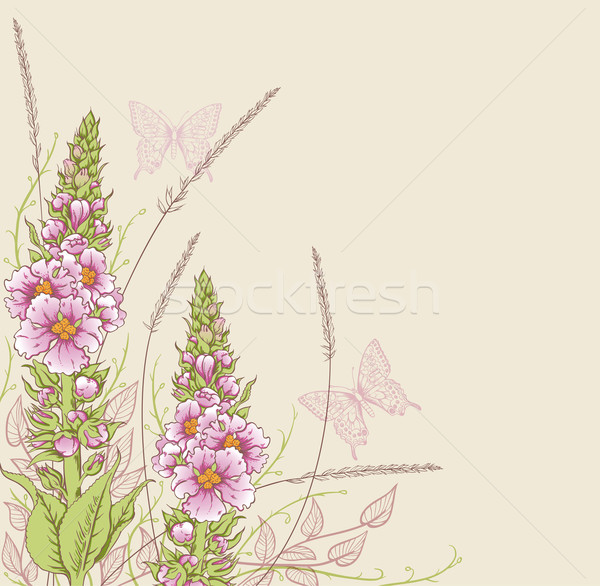 夏天 粉紅色 花卉 蝴蝶 性質 商業照片 © Artspace
