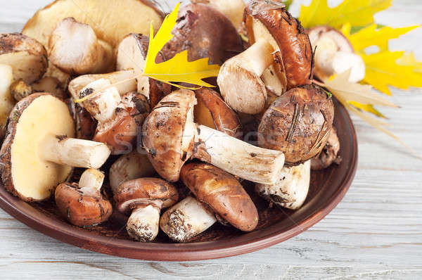 Stock photo: Mushrooms in plate